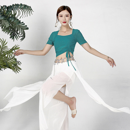 Baoguang Honghua Belly Dance Top New Sexy Mesh Oriental Dance Costume Women's Practice Top Performance Costume Summer