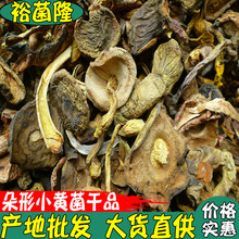 ��ԣ��¡�� С�S�� ���� ���� ������ ��偾���ԭ�� �Sţ�ξ���