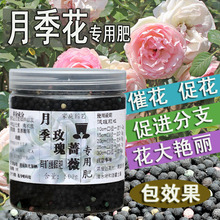 玫瑰花专用肥料 玫瑰花专用肥料品牌 图片 价格 玫瑰花专用肥料批发 阿里巴巴