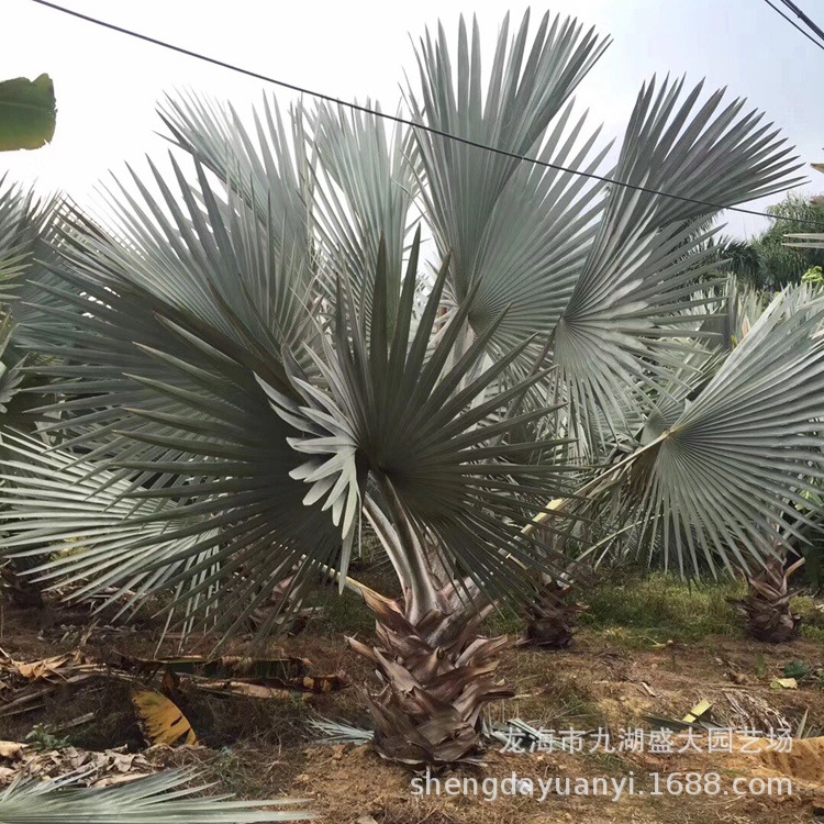 IMG_5484(20200224-233438)