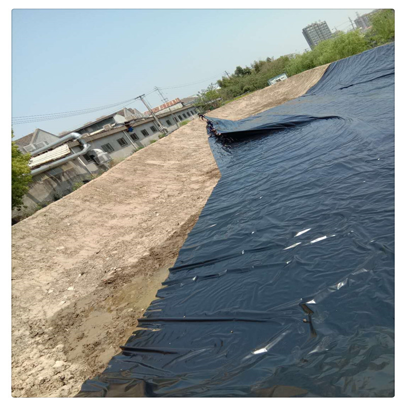 鱼塘护坡 水产养殖 景观池底衬聚乙烯加厚防渗膜加宽加长可