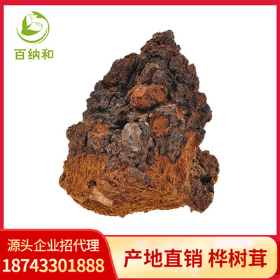 白桦茸精粉干货大个桦树茸 桦褐孔菌桦树泪