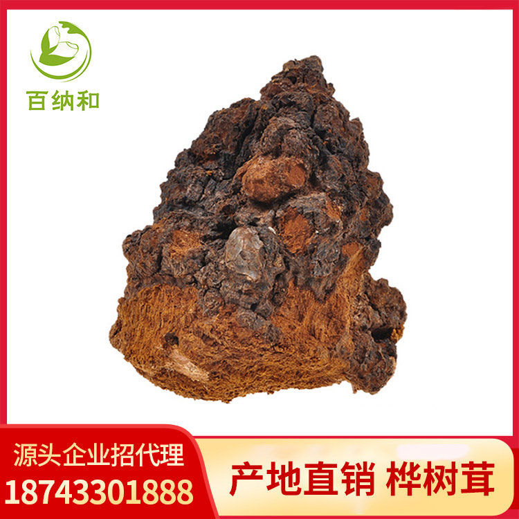 白桦茸精粉干货大个桦树茸 桦褐孔菌桦树泪