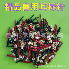 �F�ò��P䓶����Q��i���ˌ���ᔶ����Q����Ӿ�ɶ�̖�����