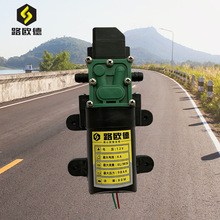 农用电动喷雾器水泵隔膜泵12v高压纯铜智能回流泵农用泵打药泵
