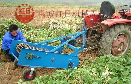 禹城红日机械土豆收获机  单行地瓜红薯收获机  液压皮带传动