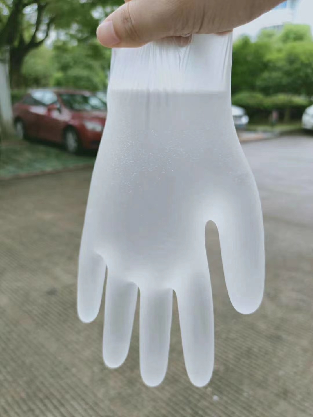 一次性PVC手套家庭洗碗做家务防护手套|ms