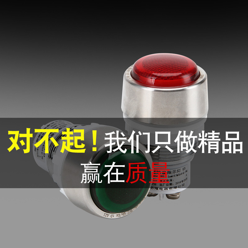 不锈钢头指示灯控制设备信号灯红黄绿 NB8050防爆指示灯|ms