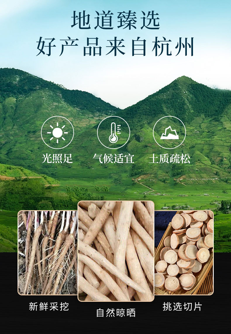 Bai Shao Slices (Paeonia lactiflora) — Dried White Peony Root Decoction Pieces overview