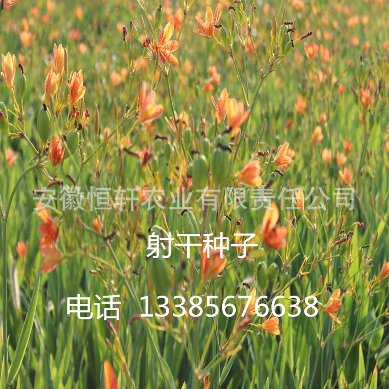 QQ图片20200207095800