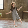Summer summer clothing, children's set, overall, suitable for teen, Korean style, loose fit