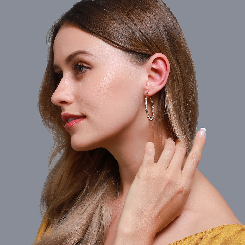 Fashion Style Simple Earrings Classical Exaggerated Hollow Large Circle Earrings Ear Buckle Explosion Accessories Wholesale Nihaojewelry display picture 3
