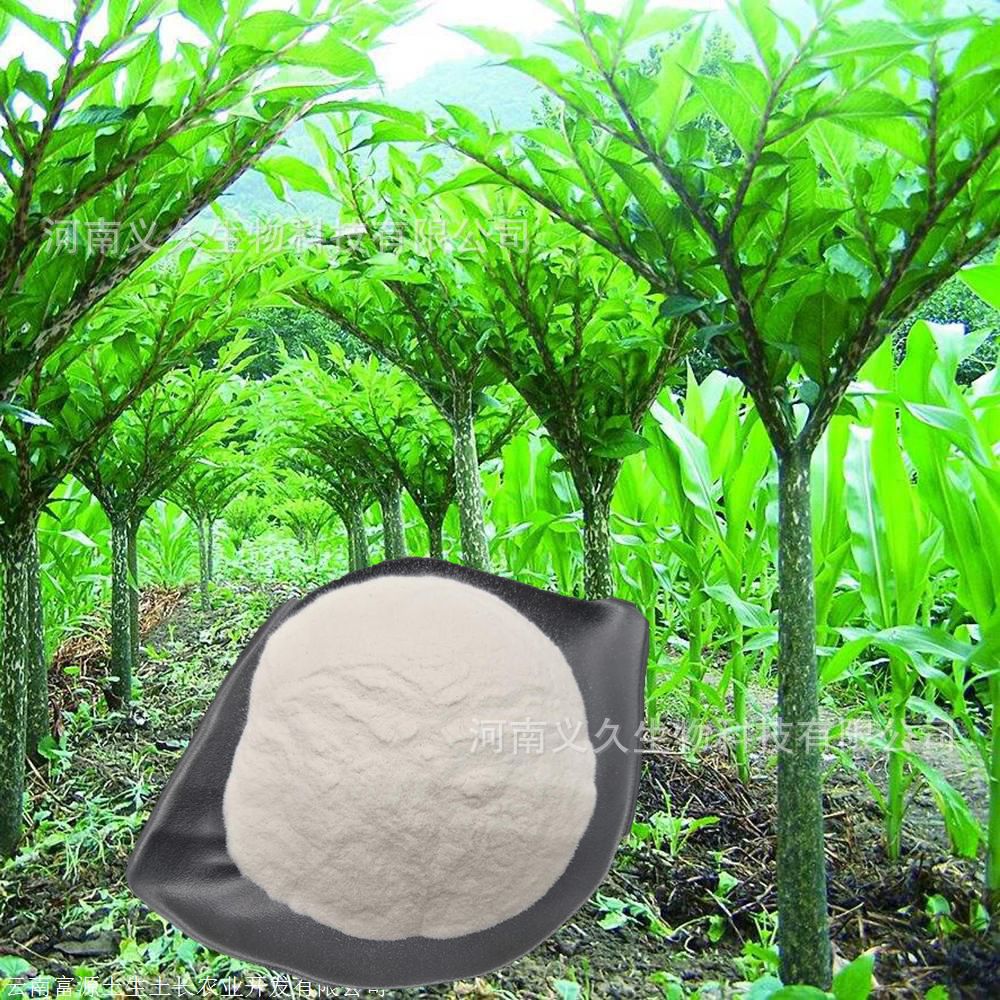 食品级 魔芋胶 KJ-30 代餐粉 固体饮料 葡甘聚糖90% 纯化魔芋粉|ru