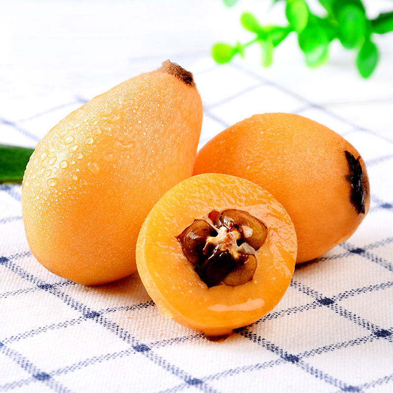 [Shunfeng]Sichuan Province Panzhihua Miyi Loquat 3/5 Season fresh Pick fruit Alpine Pipa Large fruit