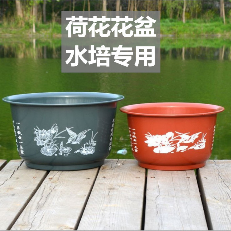 Flor de loto engrosada nenúfar macetas de loto macetas de resina macetas hidropónicas no porosas fabricantes