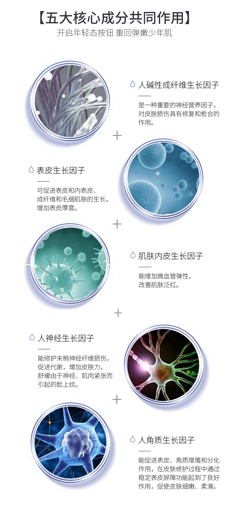 详情_07.jpg