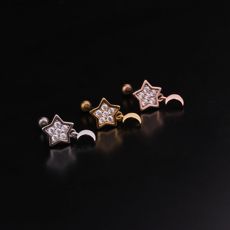 1g Weight Earrings Classification Housewarming, Anniversary, Business, Wedding, Travel, Birthday, Festival Occasion Metal Material Star Pattern Women'S Gender Inlaid Zircon Design Korean Creative  Studs Stainless Steel  Earrings 10