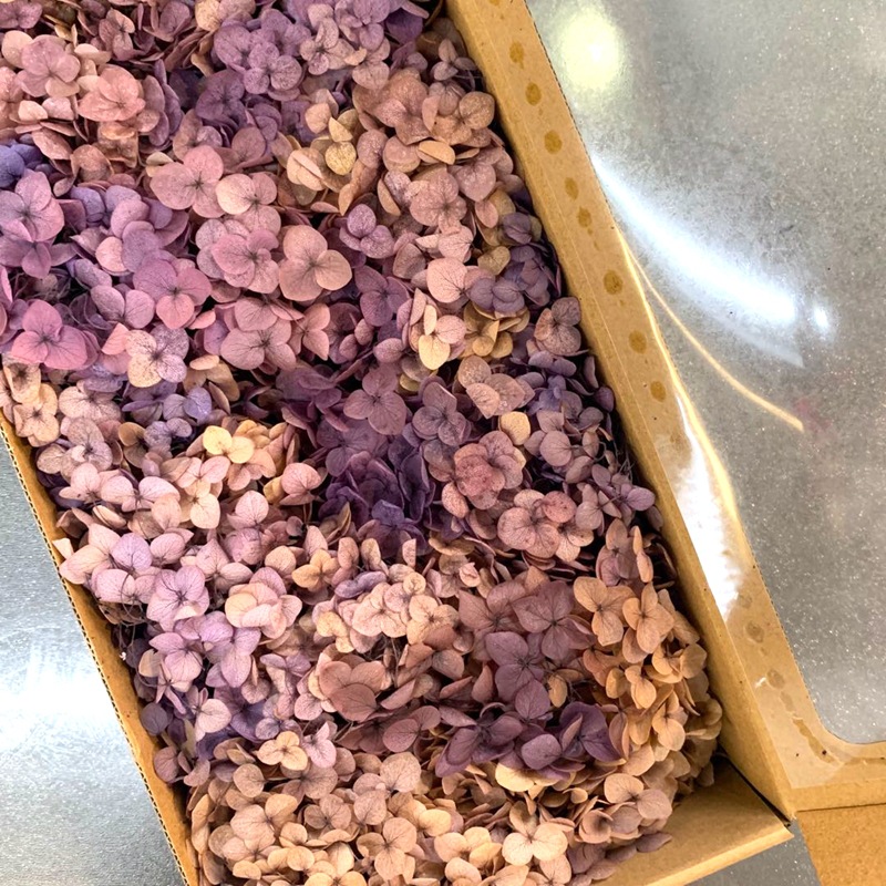 微信图片_20200702163802