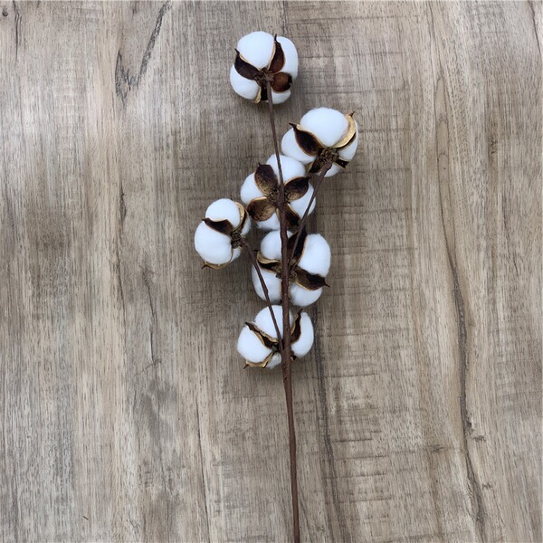 Eternal cotton dried flower art 6 single branches of simulation…