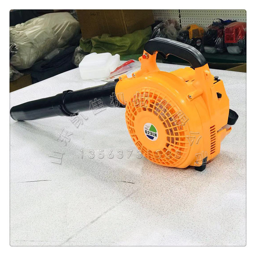 大棚吹雪机 庭院吹扫机 四冲程吹风机背负式强力风力灭火机