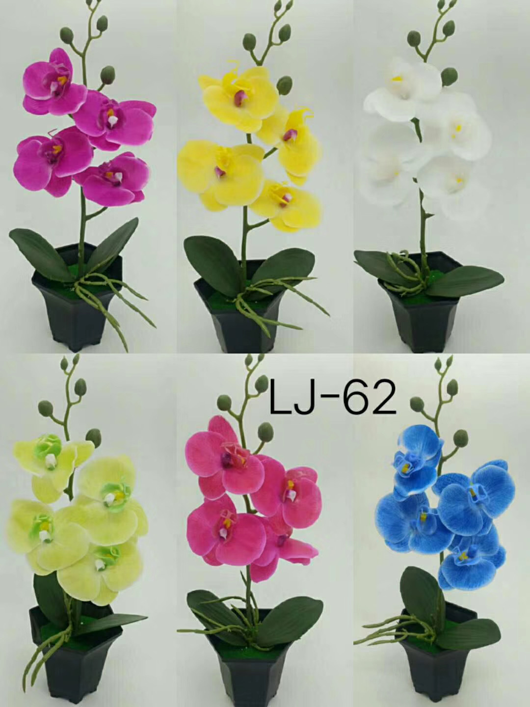 WeChat 圖片_20200704105405