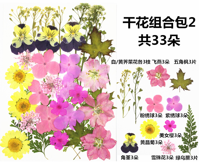 IMG_3619_副本_副本