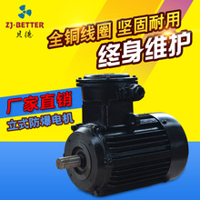 ����YBX3�����綯��BT4�����������첽�������IP55250�������
