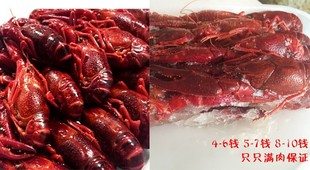 �����r��С���r789�X���С���r���r�ك�С���r������ˮС���r