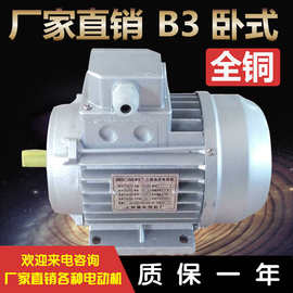 上海德东三相电动机直供批发YS63系列180W-370W 异步交流电机