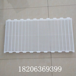 �����Z©�S���Z��©�S��ƽ�B���r�Z�W���S�҃r��