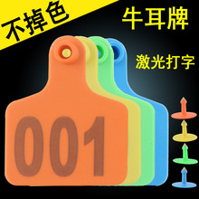 ţ�����Ǝ�̖ ţ������ ��̖����ţ���� ţ�ö�����