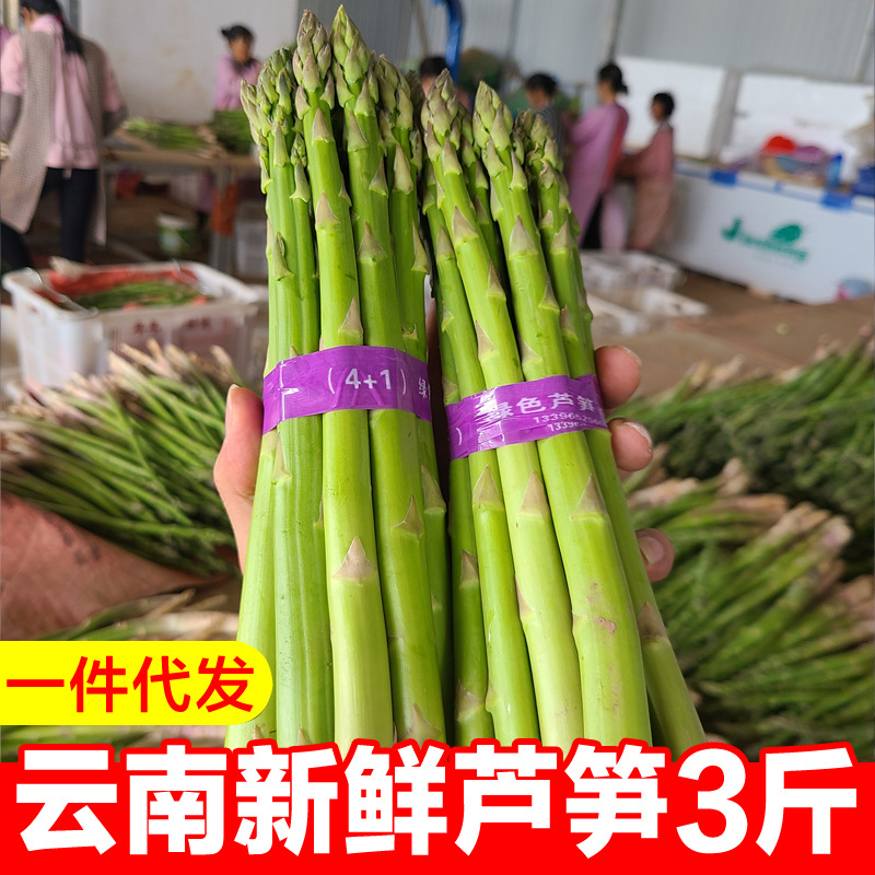 云南芦笋新鲜3斤大芦笋蔬菜包邮嫩青笋新鲜农家自产去白根现挖|ru