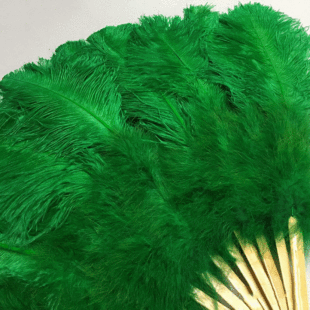 �S�����l 12Ƭ�r�Bë�赸��̨�ݳ�������ë�ȹ�ˇƷ