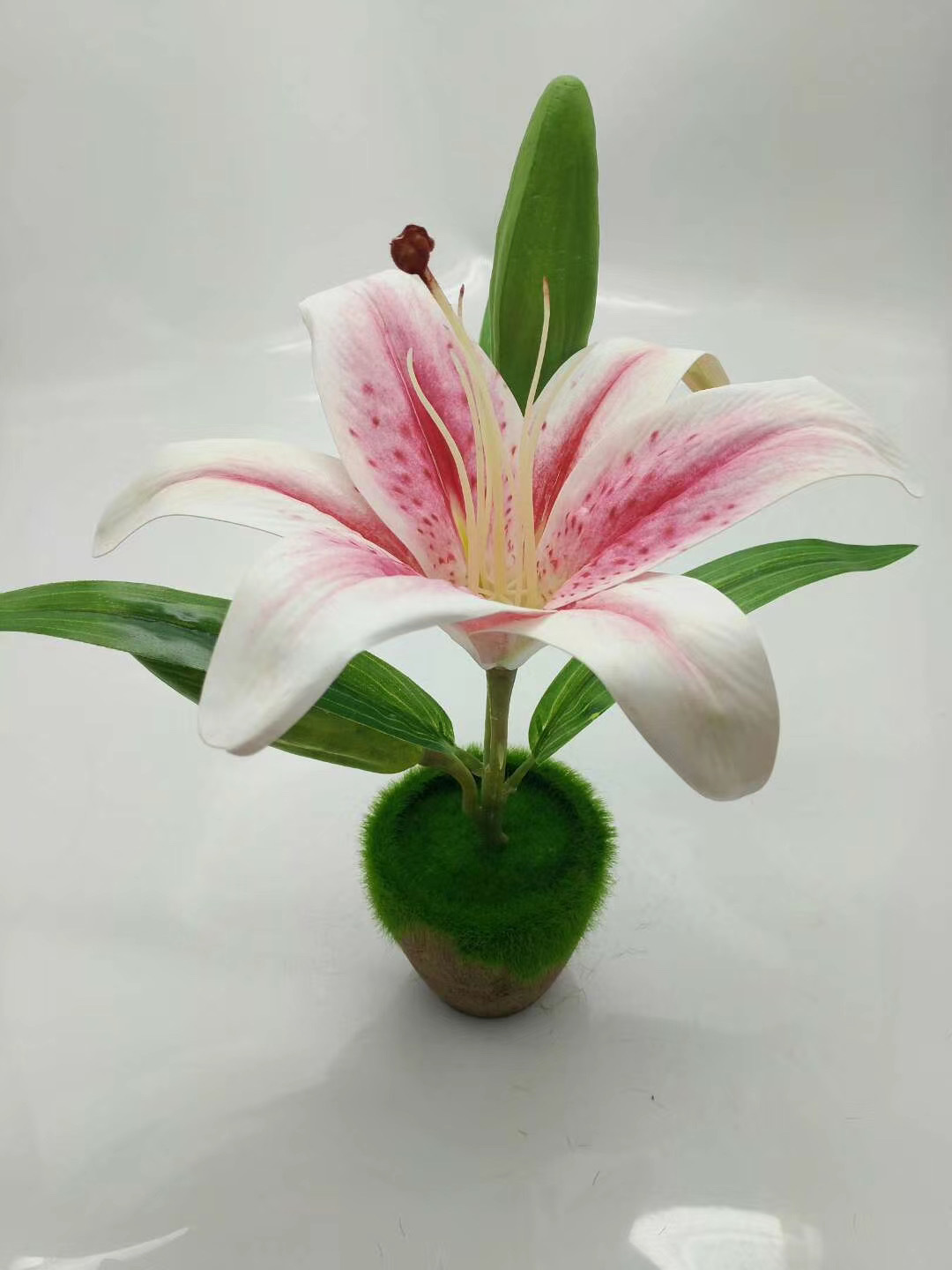 WeChat 圖片_20200704104526