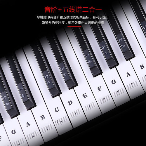 88/61/54/49 key piano transparent sticker electronic keyboard hand-rolled piano key sticker simple notation scale sticker
