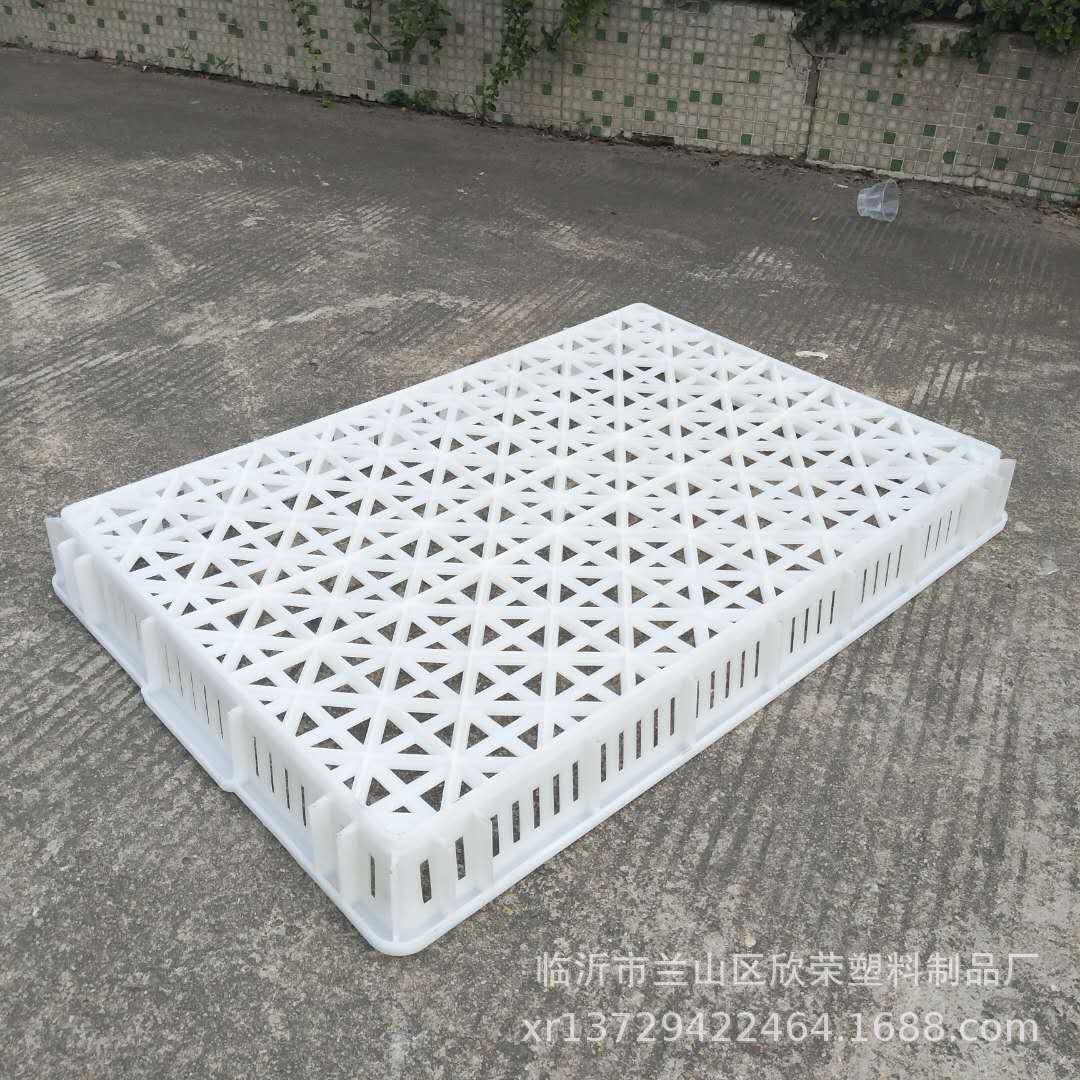 Single freezer freezing basket drying tray aquatic seafood cold storage quick-frozen shallow basket food grade white tray thickened 3
