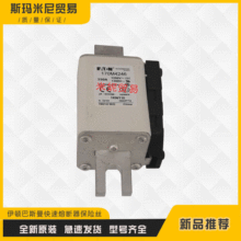 全新170M4178 170M4179 170M4180 170M4181快速熔断器保险丝