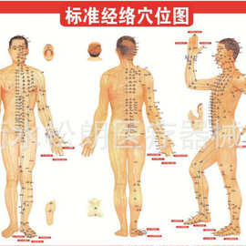 礼品泡瓶喷瓶刷子海藻模具经络图浴盐保鲜膜头巾床单魔蝎刷刮痧板