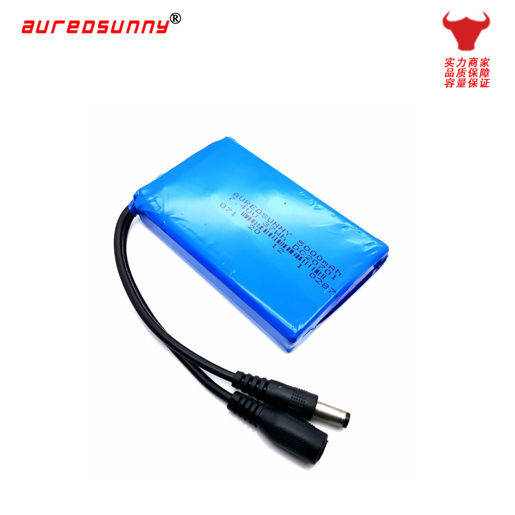 软包聚合物锂电池组7.4V2串带DC5521公母头线刷卡机专用锂电池