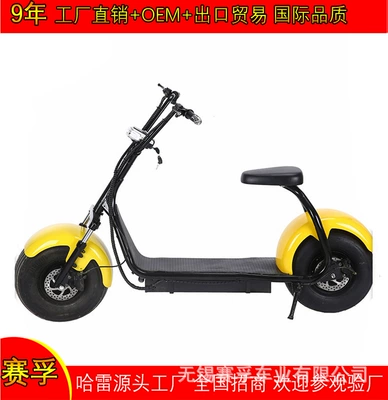 Elektrikli motosikletlər Harley Car Electric Motorcycle Battery