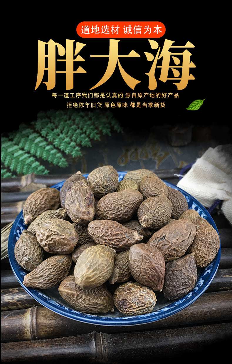 Pang Da Hai Fat Sea Seed Sterculia Wholesale Bulk 1 Jin Herbal Tea Material key features