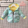 2020 new pattern Autumn and winter Korean Edition Children's clothing Cotton coat men and women children Children Spacesuit wholesale Little Silver