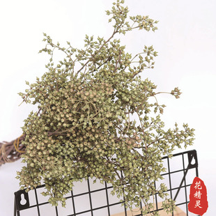 С�׹���Ȼ�ɻ��滨С�G�����λ��Ҿ��b��Ĕz������ϏS�����l