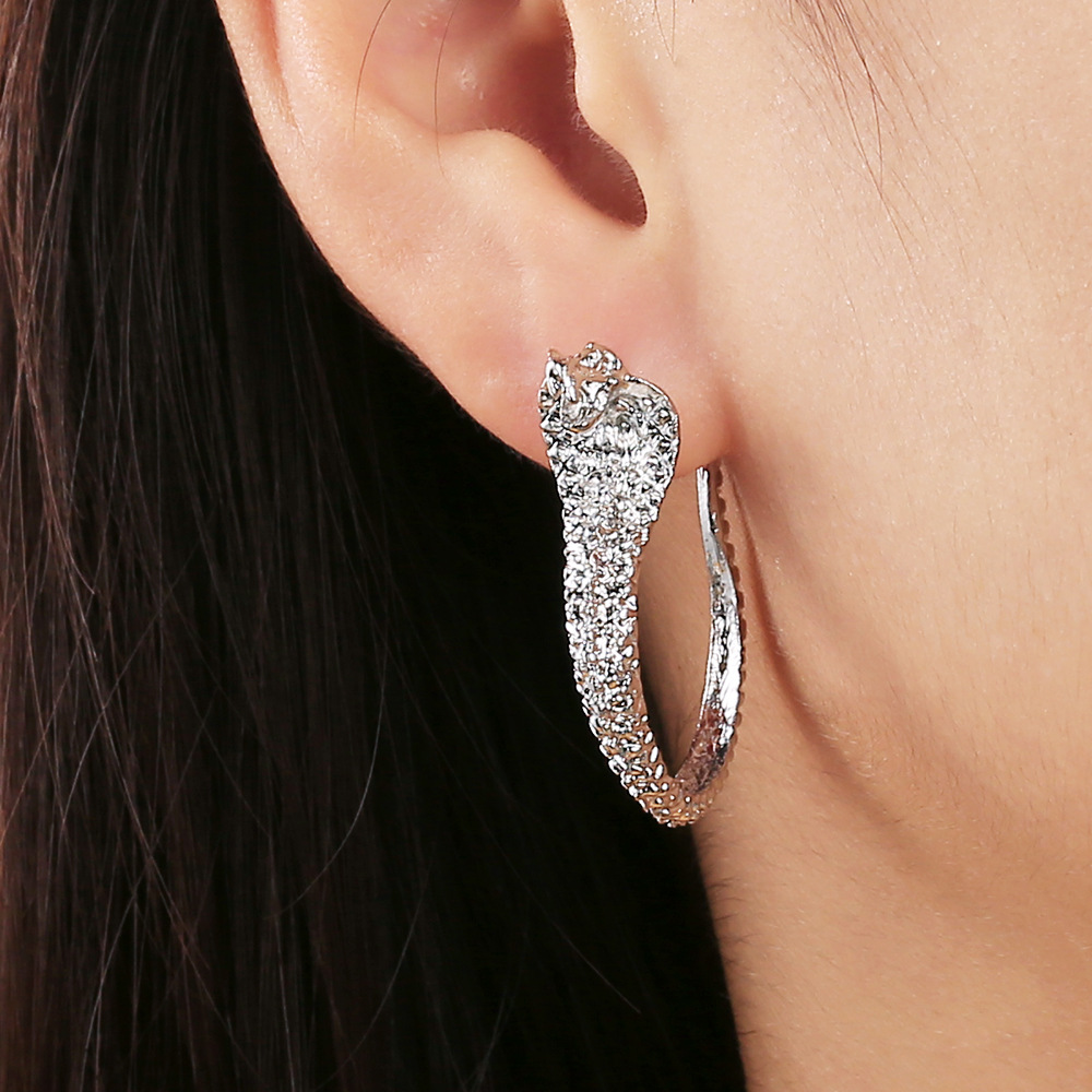 Retro Snake-shaped Long Earrings Wholesale Nihaojewelry display picture 12
