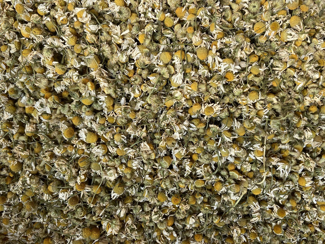 Chamomile Powder Yang Gan Ju Fine Ground Matricaria Flower Powder for Skincare and Herbal Blends 500g quality and texture