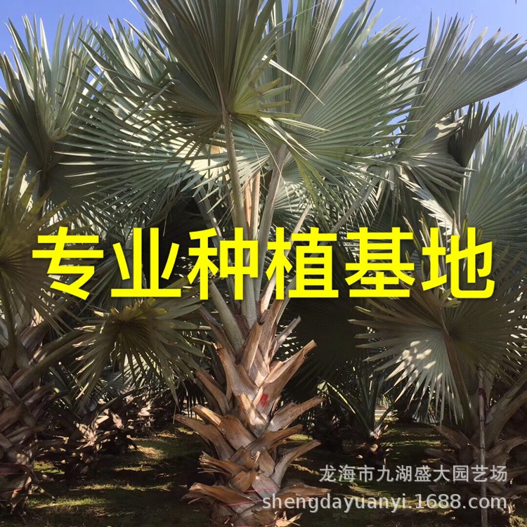 IMG_5569(20200225-132125)