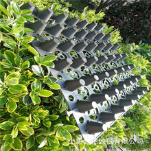 ��픷Nֲ�����߲�����ˮ�僦ˮ�Vˮ����屣���������ɰl���l����