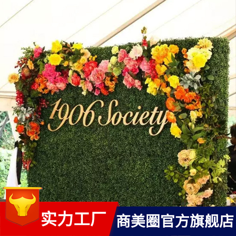 ֲ�ﻨǽ��ɫֲ��ǽ��ƺֲ�ﻨǽ����������ǽ��װ��