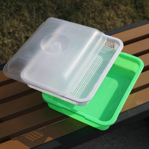 Sprout seedling tray manufacturer direct sales with cover moisturizing encrypted grid vegetable bean sprout planting multi-color insulation basin