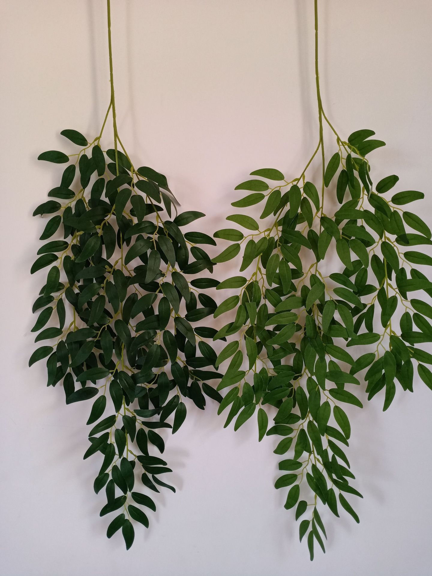 Saved PicturesIMG2020042912562